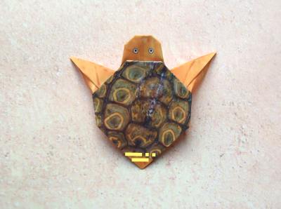 een baby schildpad van papier maken een baby schildpad van papier maken