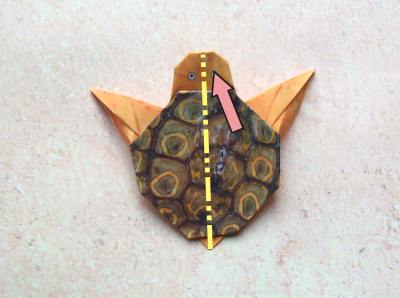 een baby schildpad van papier maken een baby schildpad van papier maken