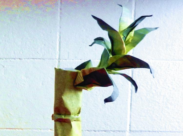Origami Bamboo Origami Bamboo