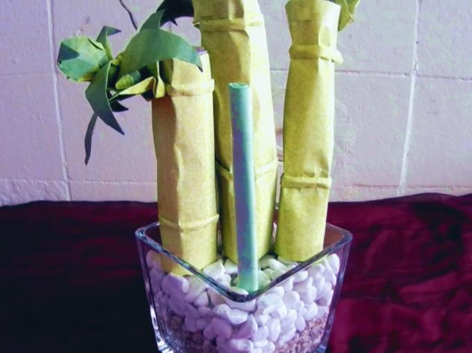 Make Origami Bamboo Make Origami Bamboo
