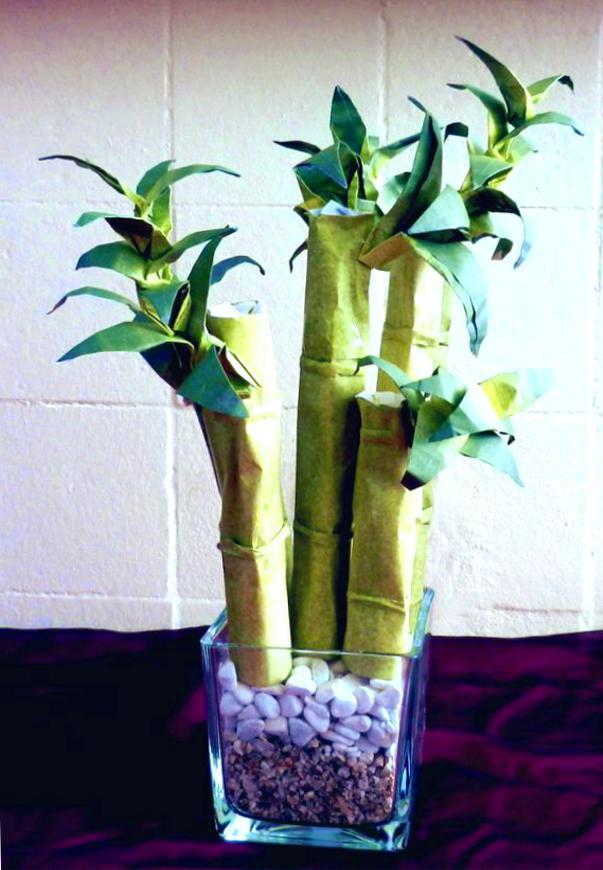 Origami Bamboo plant Origami Bamboo plant