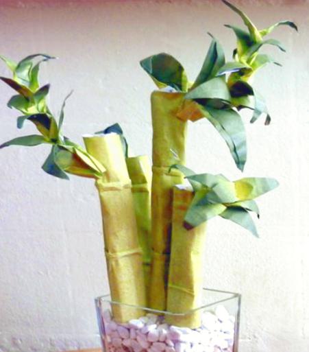 Origami Bamboo plant