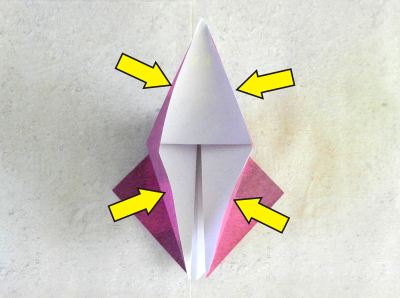 Origami Beast folding instructions