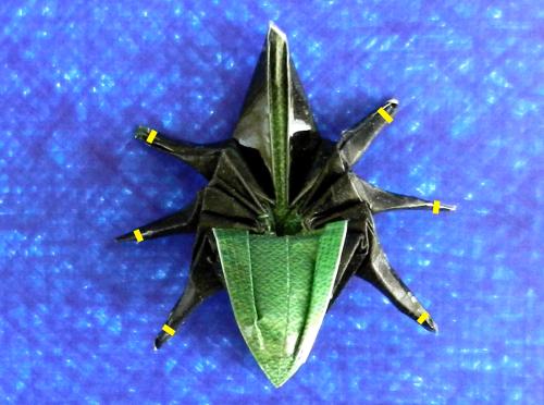 Fold an Origami Beetle