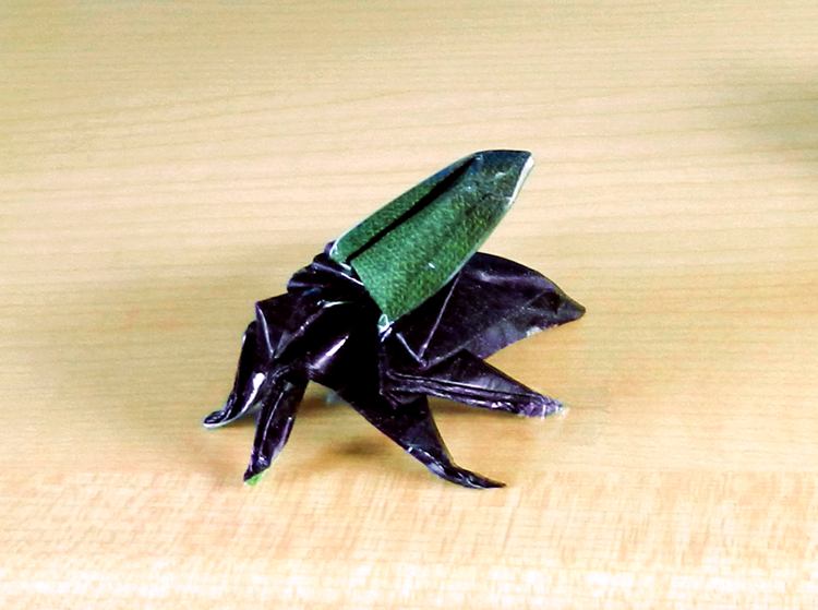 Origami beetle