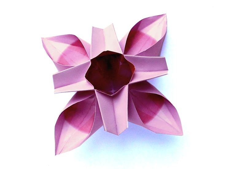 Origami Bellflower Origami Bellflower