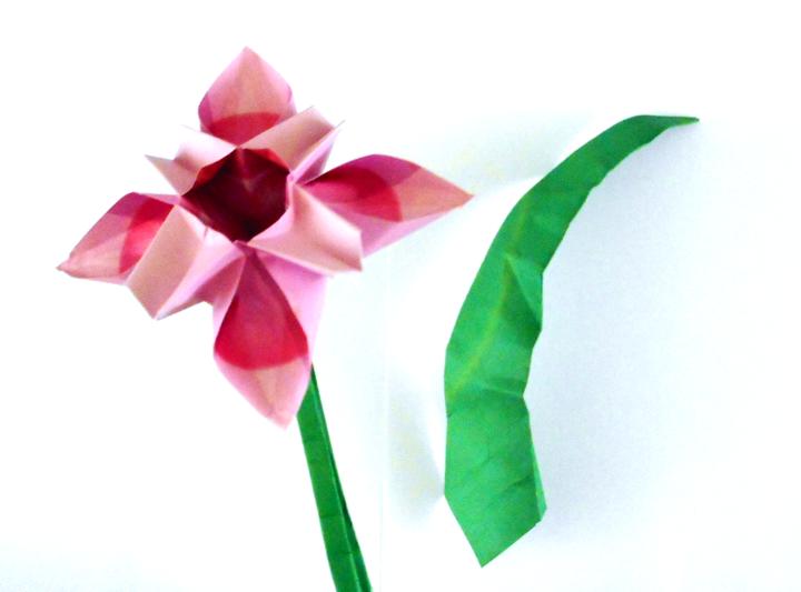 Origami Bellflower Origami Bellflower