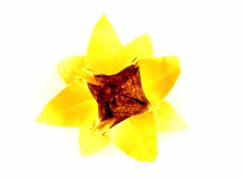 Fold paper Origami Black Eyed Susan flowers