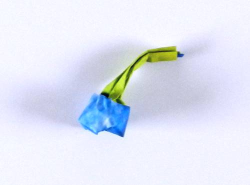 Folding an Origami Blueberry plant Folding an Origami Blueberry plant