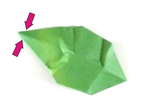 Folding an Origami Blueberry plant