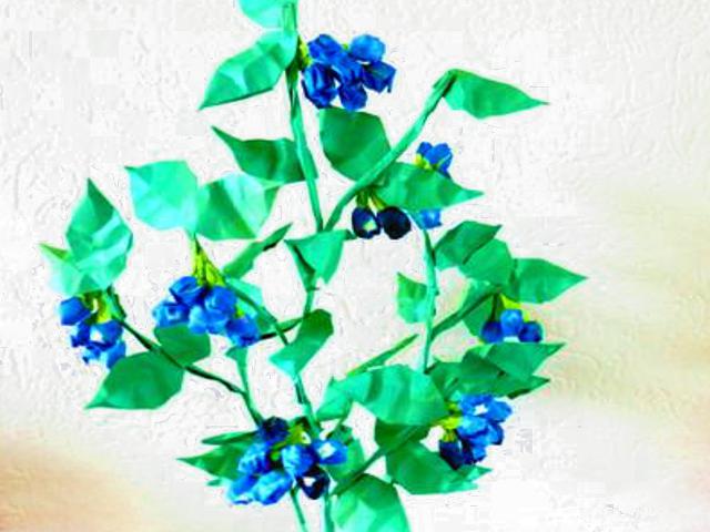 Paper Blueberry Plant