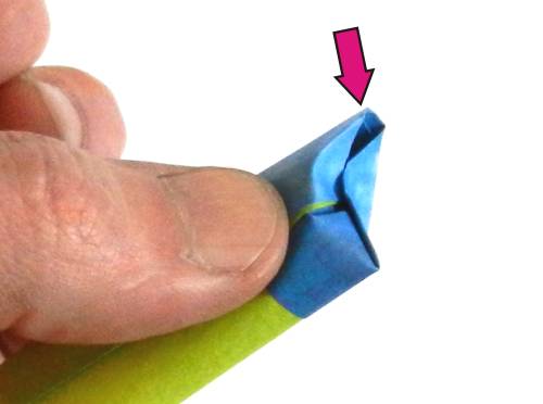 Folding an Origami Blueberry plant Folding an Origami Blueberry plant