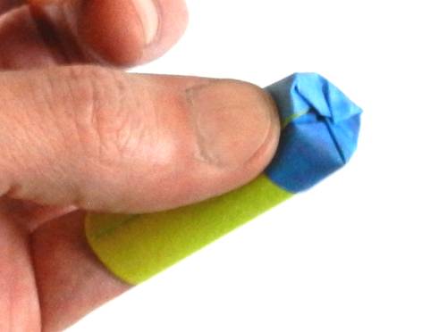 Folding an Origami Blueberry plant Folding an Origami Blueberry plant