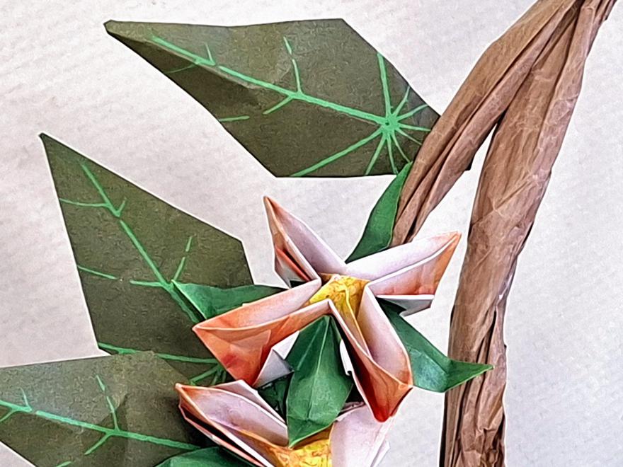 Bonsai Origami Clematis