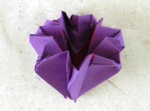 Bonsai Origami Fuchsia flower diagrams