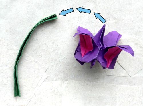 Bonsai Origami Fuchsia flower diagrams