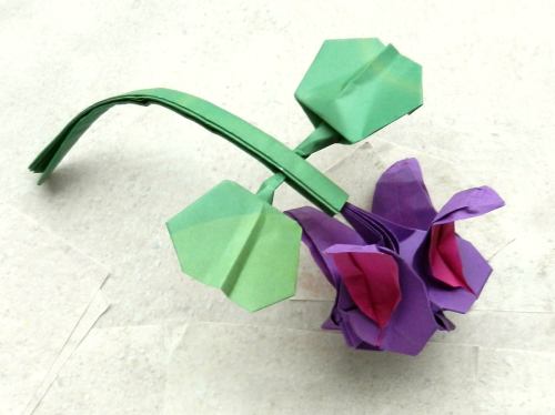 Bonsai Origami Fuchsia flower diagrams Bonsai Origami Fuchsia flower diagrams