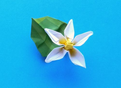 Diagrams for a Bonsai Origami Gardenia plant