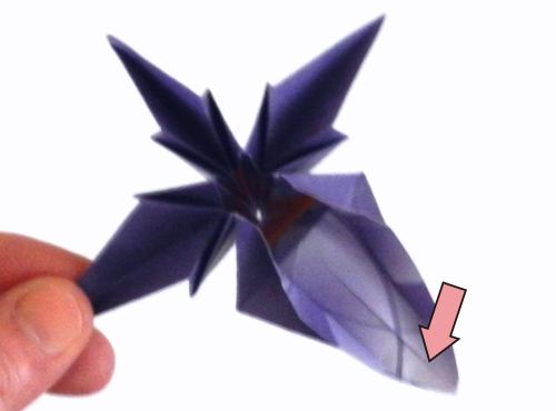 Fold an Origami Iris Flower