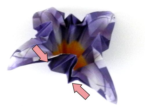 Fold an Origami Iris Flower Fold an Origami Iris Flower