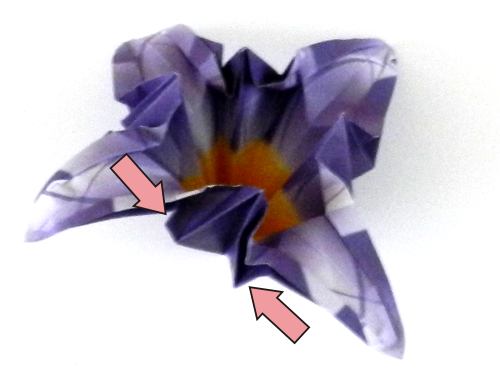 Fold an Origami Iris Flower