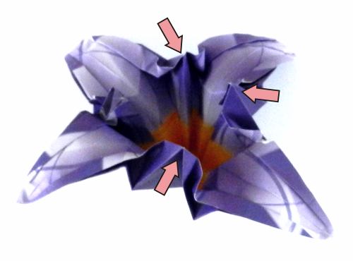 Fold an Origami Iris Flower