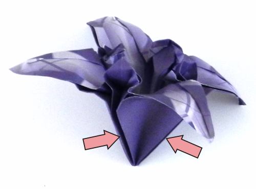 Fold an Origami Iris Flower