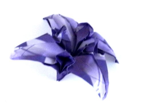 Origami Iris Flower