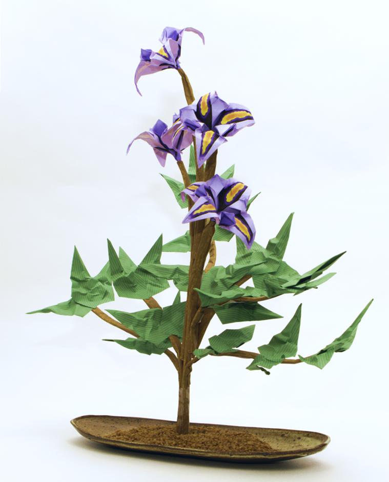 Bonsai Origami Iris Flower