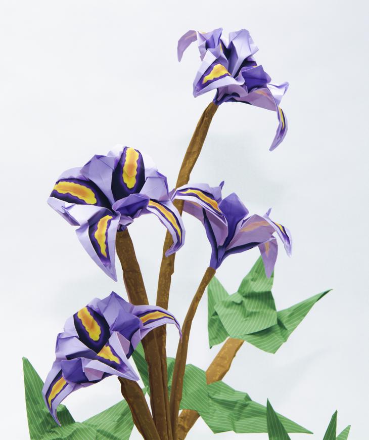 Bonsai Origami Iris Flowers