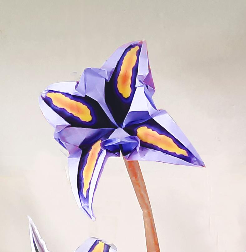 Origami Iris Flower