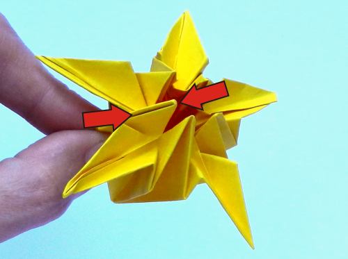 Fold an Origami Narcissus flower Fold an Origami Narcissus flower