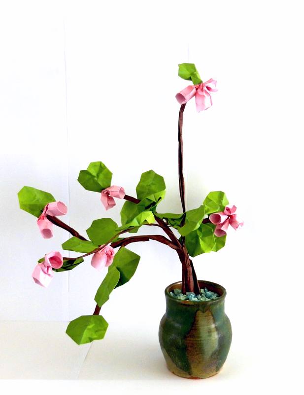 Bonsai Begonia van papier Bonsai Begonia van papier