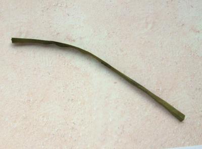 curled origami stem curled origami stem