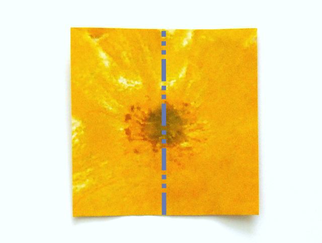 Fold Origami Buttercup flowers Fold Origami Buttercup flowers