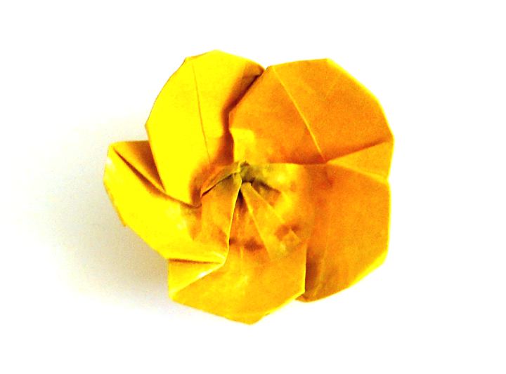 Origami Buttercup flower Origami Buttercup flower