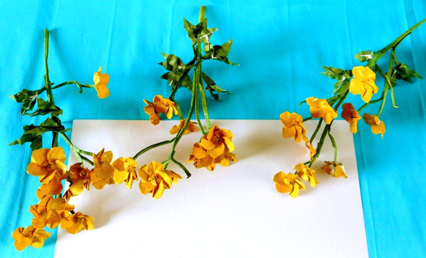 Origami Buttercup flowers