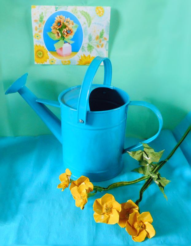 Buttercup flowers Buttercup flowers