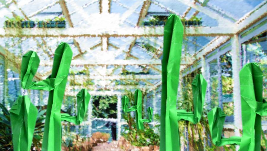 Cactussen in een kas Cactussen in een kas