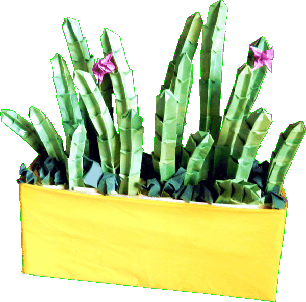 Cactus plant van papierkunst Cactus plant van papierkunst