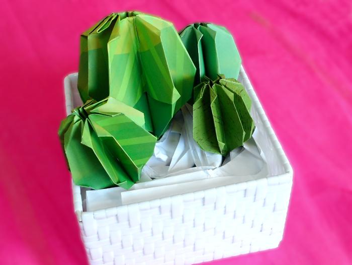 Origami Cactus maken