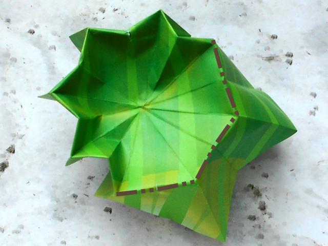 Origami Cactus maken