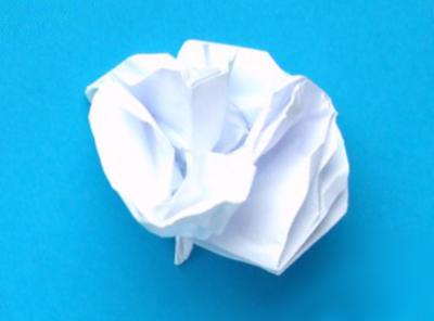 white origami carnation flower white origami carnation flower