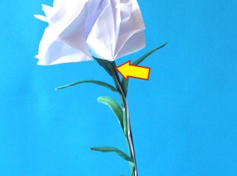 Fold an Origami Carnation flower Fold an Origami Carnation flower