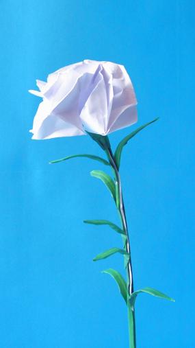 Origami Carnation Flower Origami Carnation Flower