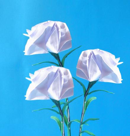 Origami Carnations