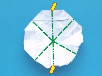 Fold an Origami Carnation flower Fold an Origami Carnation flower