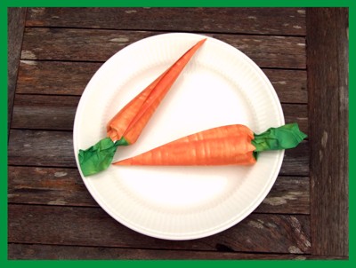 origami carrots on a plate