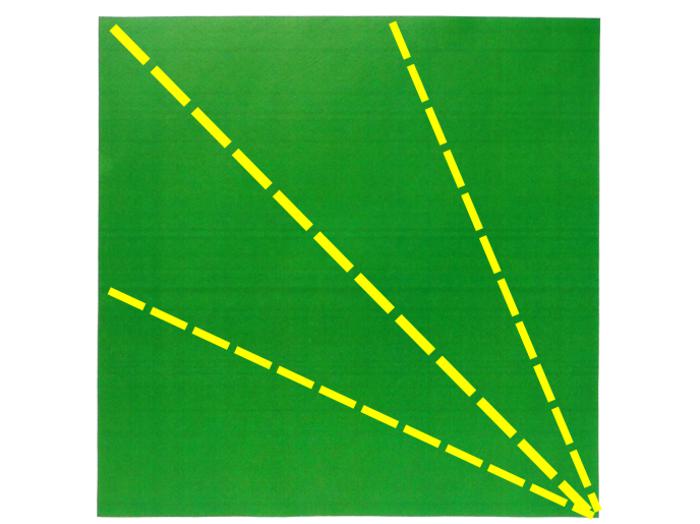 Origami Rups vouwen Origami Rups vouwen