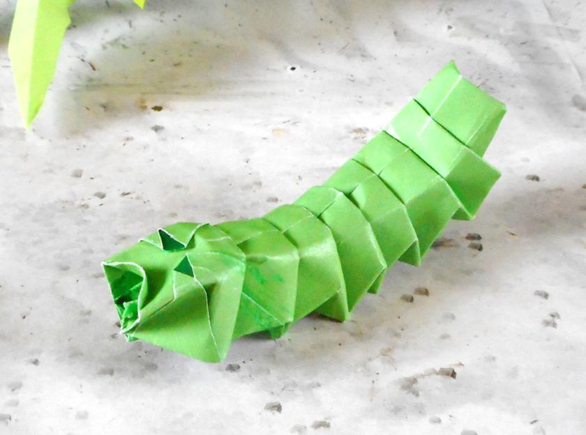 Origami Rups Origami Rups